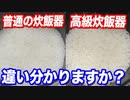 こんなに違うの？10万円の高級炊飯器と普通の炊飯器でお米食べ比べてみた結果…【ヒカル&店長切り抜き】