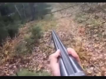 ホモと見る　生死を彷徨う瞬間