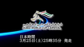 【競馬】2023　ドバイワールドカップ　PV【75秒】