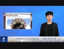 人為的ウイルスの流出は、人道に対する罪