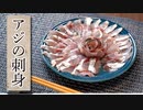 【アジング】釣ってきたアジをお刺身に