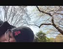 2023年03月20日 あさ代々木(Lv340671477) 藪。 藪の中(Co5352034) 002