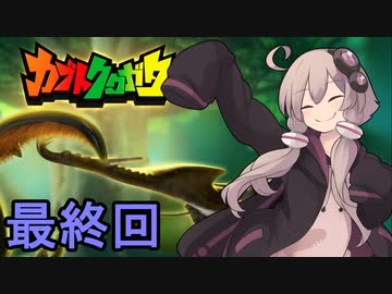 ゆかりさんの昆虫採集記６（最終回）【カブトクワガタ】