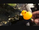 ビオトープの水温を知りたいなら、可愛い水温計を作ろうじゃないか！