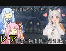 【MHRise:SB】あかりちゃんと琴葉姉妹がだべりながらモンハンするだけ【VOICEROID実況】