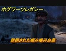 ホグワーツレガシー　誘拐された噛み噛み白菜　ストーリー攻略　＃１０８　【Hogwarts Legacy】