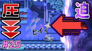 【星のカービィWiiデラックス】#25 二つのプレッシャー【初見プレイ】