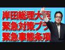 岸田総理大臣一般組織犯罪、国家組織犯罪、緊急対策プラン、緊急事態条項