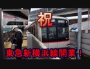 #013【私鉄4社直通】森林公園始発1番列車乗車情報発信！ 森林公園→湘南台