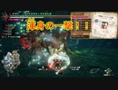 【MHSB百狩行脚2023ー80狩目】【モンスターハンターライズサンブレイク】