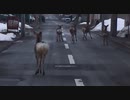 ぶらり散歩　#69　2023/3/21
