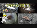 アソート釣り動画