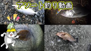 アソート釣り動画