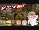 ピクミン3デラックス　＃34
