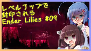 レベルアップで封印されるEnder Lilies Part09【制限プレイ】