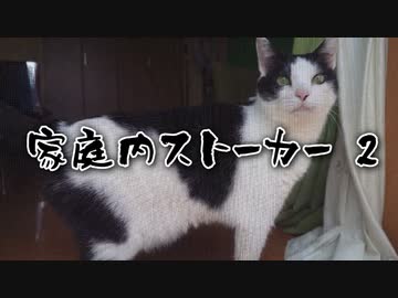 家庭内ストーカー2