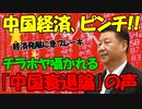【時事ニュース解説】人口･経済の両面で衰退する中国､各方面から囁かれる｢中国衰退論｣の声｡