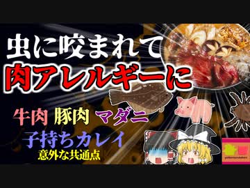 【2005年島根】虫に咬まれて肉アレルギーに？ 煮つけを食べてアナフィラキシーショック！ 同時期に突然運ばれてきた患者たちの意外な共通点  背景には島根特有の事情が 【ゆっくり解説】