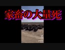 世界各国で動物や家畜の大量死が相次いでいる