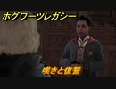ホグワーツレガシー　嘆きと復讐　ストーリー攻略　＃１１６　【Hogwarts Legacy】