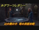 ホグワーツレガシー　山の闇の中　塔の洞窟　ストーリー攻略　＃１２０　【Hogwarts Legacy】