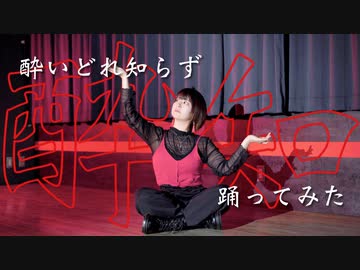 【踊コレ】酔いどれ知らず 踊ってみた【teamCattleya】