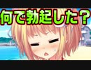 【魔法使い向け】#104　変態なお兄ちゃんは妹が泳いでる間に欲情してました【妹ぱらだいす！2】