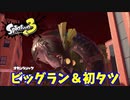 【スプラトゥーン３】サーモンラン「ビッグラン！初のタツ戦に挑んだ！」
