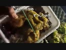 2023年03月21日 代々木でんぱうすいよー。炊き出し頂いた。(Lv340688556) 藪。 藪の中(Co5352034) 001