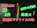 【#2 ヤリイカ大漁】3月に福井県某所に行ったらヤリイカ大漁に釣れました！海釣り動画