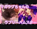 マガラブのハムスターの日常25