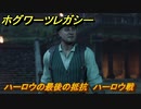 ホグワーツレガシー　ハーロウの最後の抵抗　ハーロウ戦　ストーリー攻略　＃１３２　【Hogwarts Legacy】