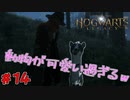 ついついいじめたくなる動物ｗ　「ホグワーツ・レガシー」　＃14
