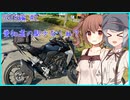 【りかささ車載】CB250Rと りかささとらべりんぐ #2【SSTR2022編#2】