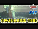 【ゼルダの伝説スカイウォードソード】空と大地と時々姫と_Part47【実況】
