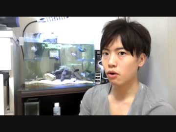 87点