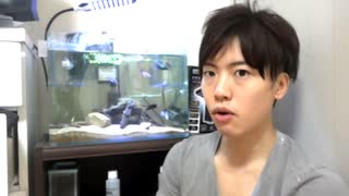 87点