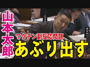 【昨日の国会より】明快な質疑！これは怪しいぞ！【山本太郎】