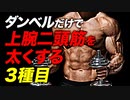 【筋トレ】ダンベルだけで上腕二頭筋を太くする 3種目 | ボディビルチャンピオンが解説【ビーレジェンド プロテイン】