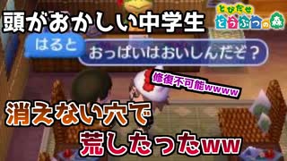 頭がおかしい変態中学生の村を消せない穴で荒したったww【とび森】