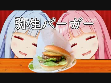 春やなぁ...コメダやなぁ…