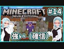 【マイクラ】最早死にようがない【バ美肉Vtuber】【MOD】Part14