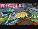 オオスズメバチ(特射)って膀胱って意味もあるんですよ！？.mp43