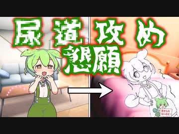 虎太郎に尿〇にビーズを入れてもらう事を懇願するずんだもん　＃ずんだもん