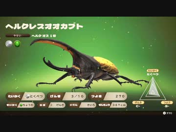 【実況】カブトクワガタをしゃくしゃくしてやるぜ　その４