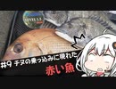 【乗っ込み×赤いヤツ】気まぐれ黒鯛師の釣り風景その9【VOICEROIDフィッシング】