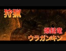 【実況】ぼっちハンターが行く！モンスターハンターXX第32回
