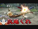 尻尾切れたっけ？尻尾ハンターだけどオサイズチの尻尾切れるかわからないまま狩猟してきます【モンハンライズ サンブレイク】