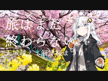 【VOICEROID旅行】旅はまだ終わらない【河津桜まつり】