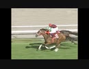 【競馬】　印象に残ったレース　2004年